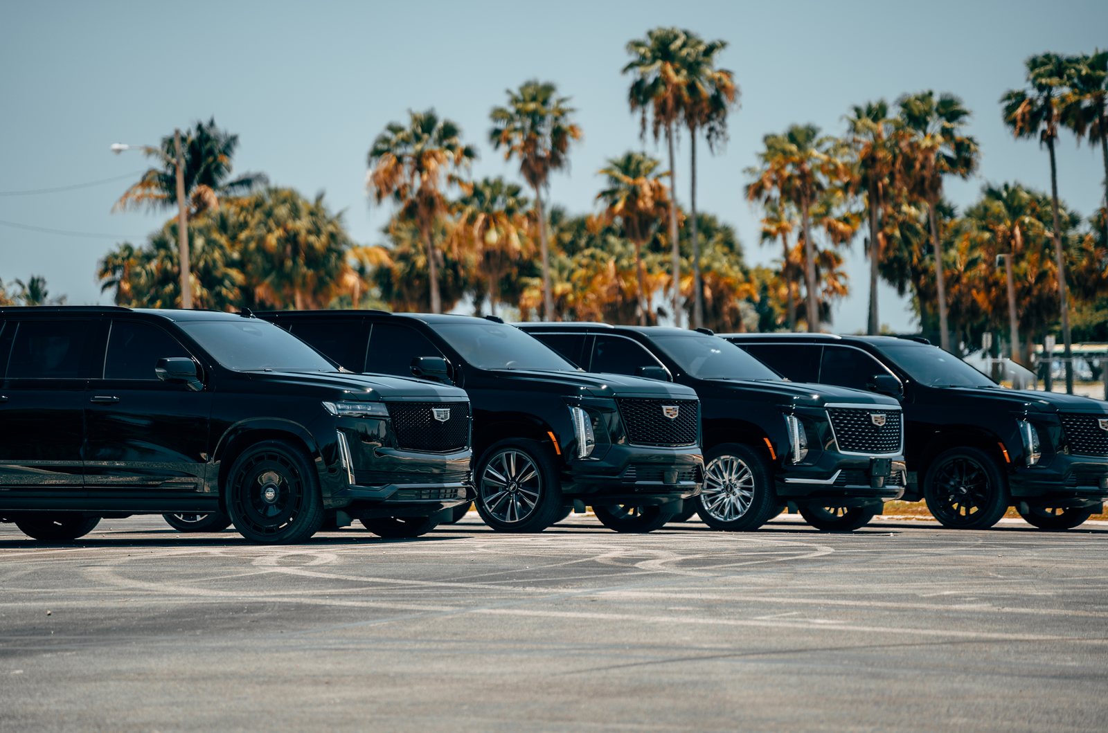 Ряд чёрных Cadillac Escalade